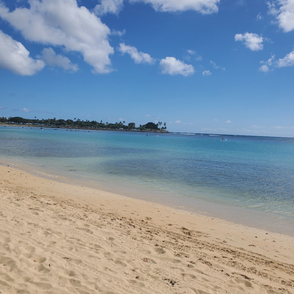 Meet your Posher, Dianna